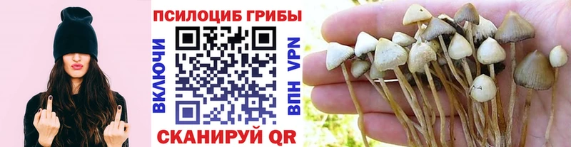 Псилоцибиновые грибы ЛСД  Нижний Новгород 